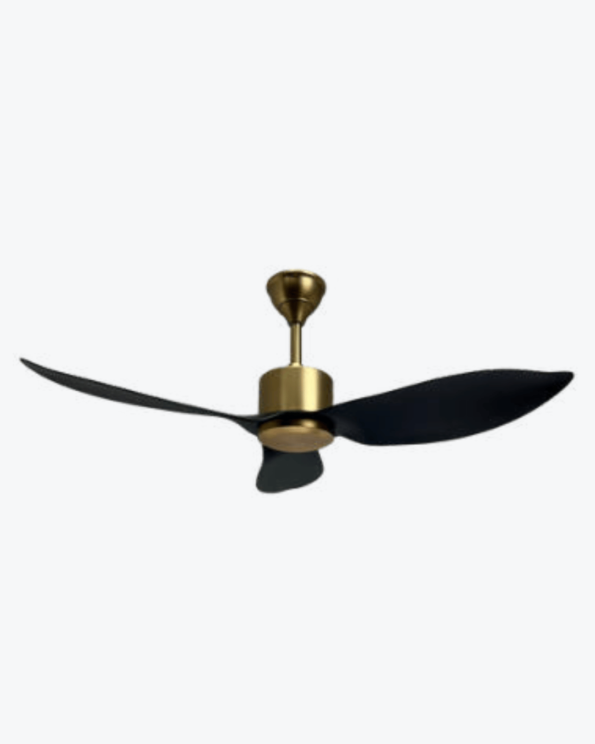 SWANK II Antique Brass Black 46